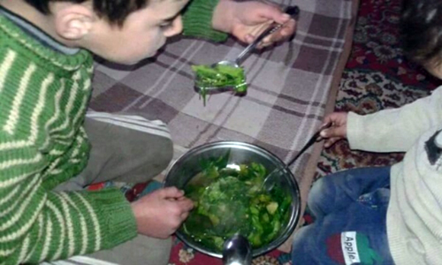 Khi người dân Syria phải ăn cỏ